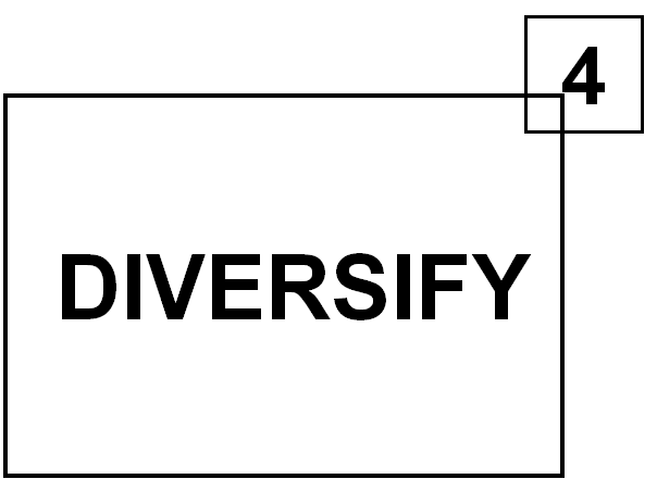 4-Diversify diversify-the-business