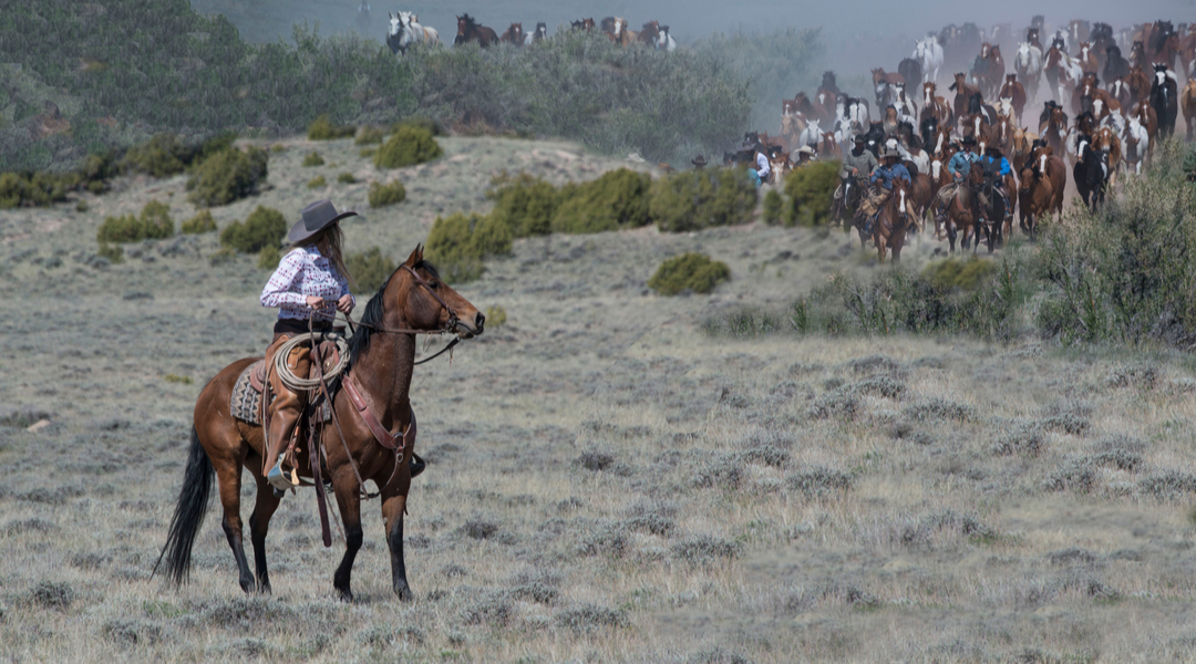 choose best consultant